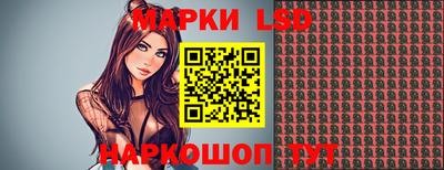 шишки Камышлов