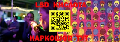 шишки Камышлов