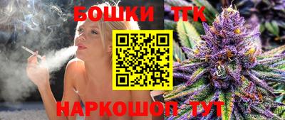 шишки Камышлов