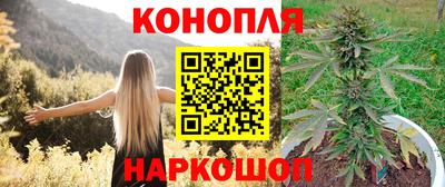 шишки Камышлов