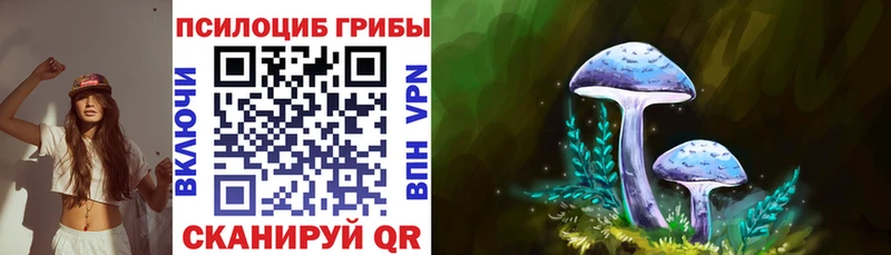 Галлюциногенные грибы Psilocybine cubensis Карталы