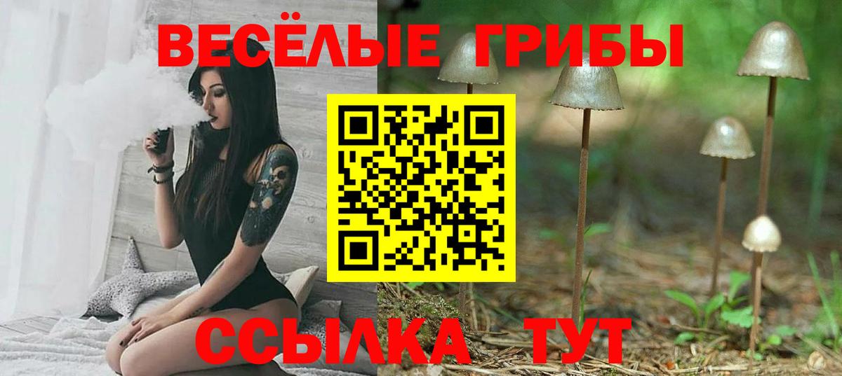 Карталы  Галлюциногенные грибы ЛСД  Вход с VPN  Псилоцибиновые грибы Cubensis 